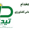 جذب نیروی کاری دفتری در تیدا