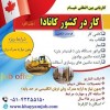 کار در کشور کانادا (جاب آفر)