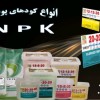 کودNPKسبزینه مارال