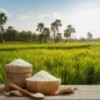 قیمت منصفانه برنج هاشمی سیحون و علت شناخته شدن آن