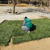 خدمات نگهداری فضای سبز