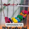 مجموعه کوروش تولید کننده اسباب بازی کد ۴۰۴