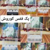 مجموعه کوروش تولید کننده پک قفس کوروش