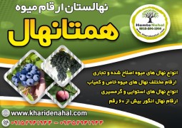 فروش نهال میوه اصلاح شده و تجاری
