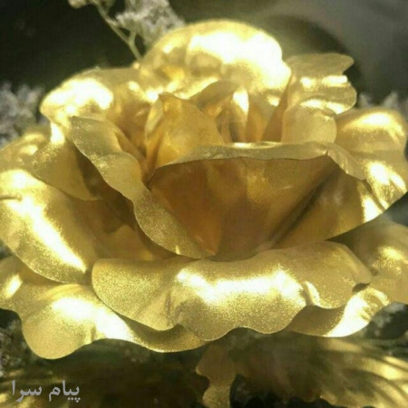 حسابدار