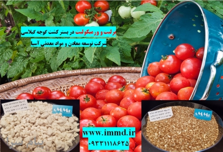فروش پرلیت و ورمیکولیت بستر هیدروپونیک