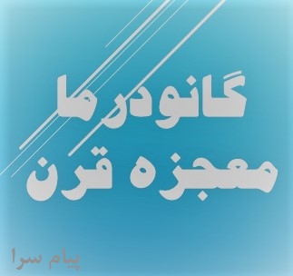 گانودرما معجره قرن