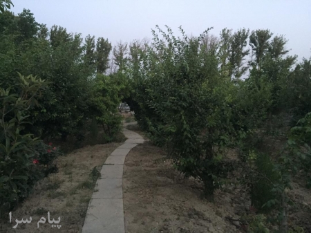 1500متر باغچه احمد آباد مستوفی