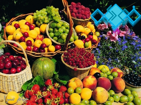 بازرگانی فودوکو   صادرات انواع میوه جات  