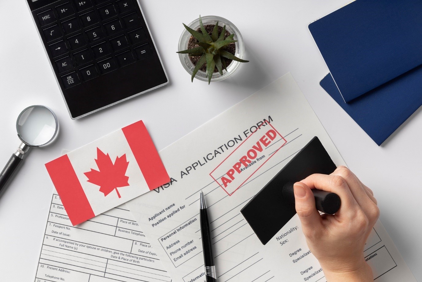 ویزای استارت آپ کانادا بهترین روش برای دریافت اقامت دائم کانادا