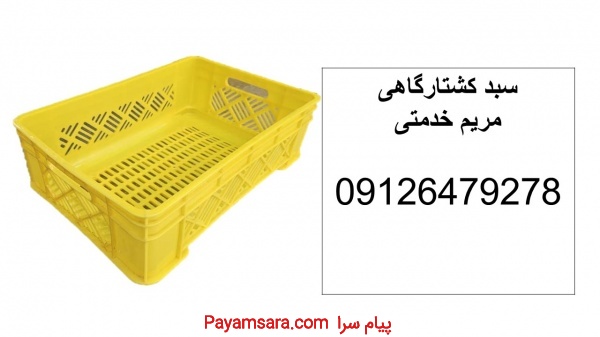 فروش سبد کشتارگاهی - سبد 1700 گرمی - سبد یک ردیفه