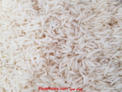 فروش برنج ایرانی زر خوشه