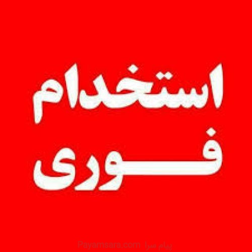 استخدام نیرو خانم فعال
