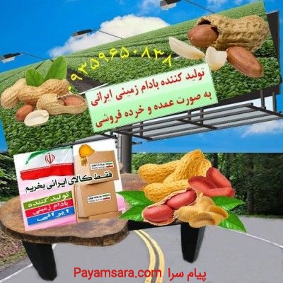 تولید کننده بادام زمینی ایرانی