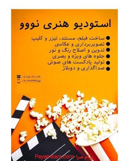 استودیو هنری نووو