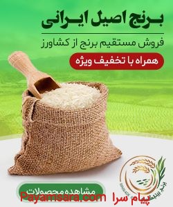 فروش برنج اصیل ایرانی