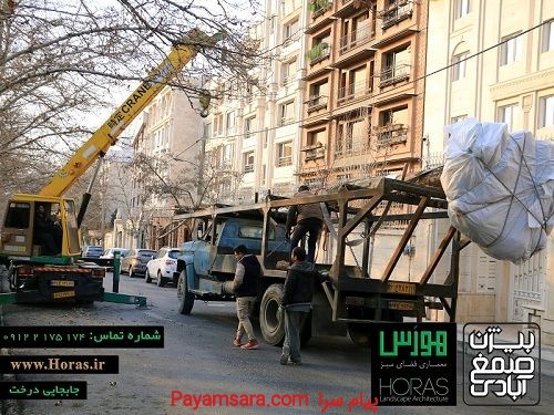 جابجایی درخت
