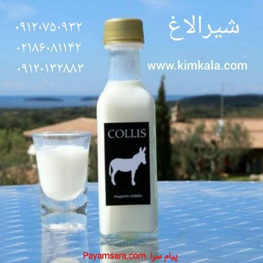 فروش شیر الاغ 09120132883 درمان عفونت ریه
