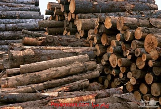 خریدوفروش چوب:چوب پالتی،ضایعاتی،ذغالی،تخته