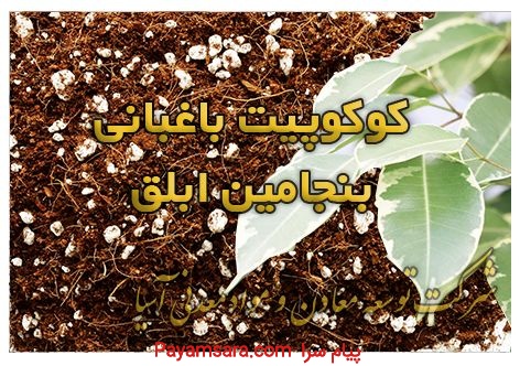 فروش ویژه کوکوپیت(سریلانکایی)