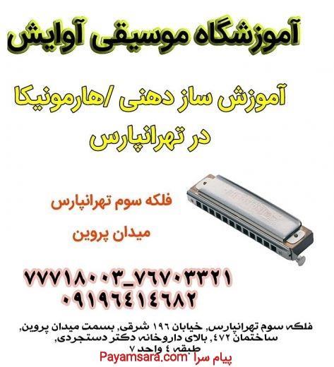 آموزش تخصصی سازدهنی/هارمونیکا در تهرانپارس
