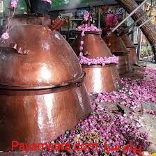 پخش عرقیجات صادراتی قمصرکاشان