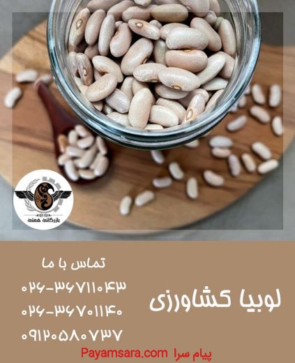 بازرگانی همتی