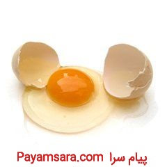 تخم مرغ خوراکی صادراتی