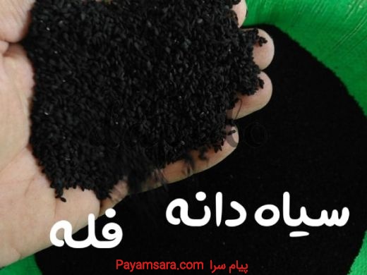 مراکز فروش سیاه دانه فله ایرانی