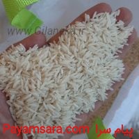 فروش انواع برنج ایرانی برنج هاشمی و نیم دانه..