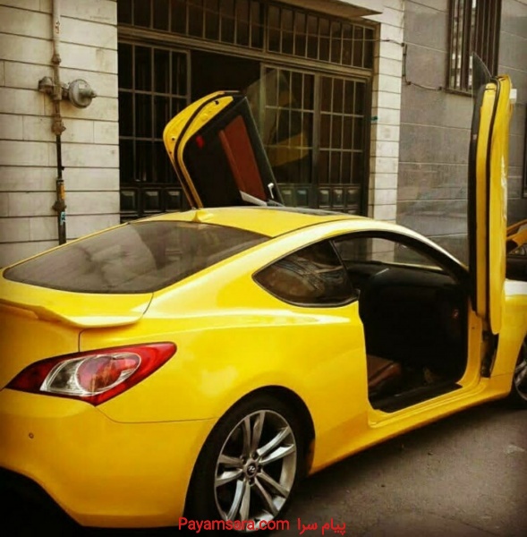 جک ولولای درب خفاشی