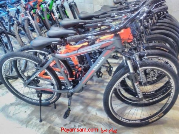 دوچرخه لاستیک پهن المپیا