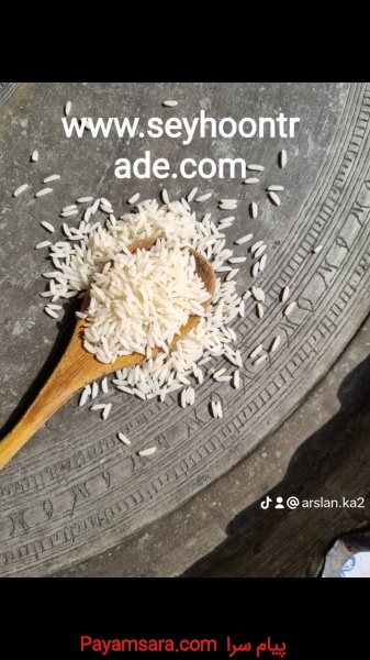 شگفتی های برنج هاشمی سیحون