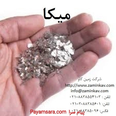 میکا-مسکویت