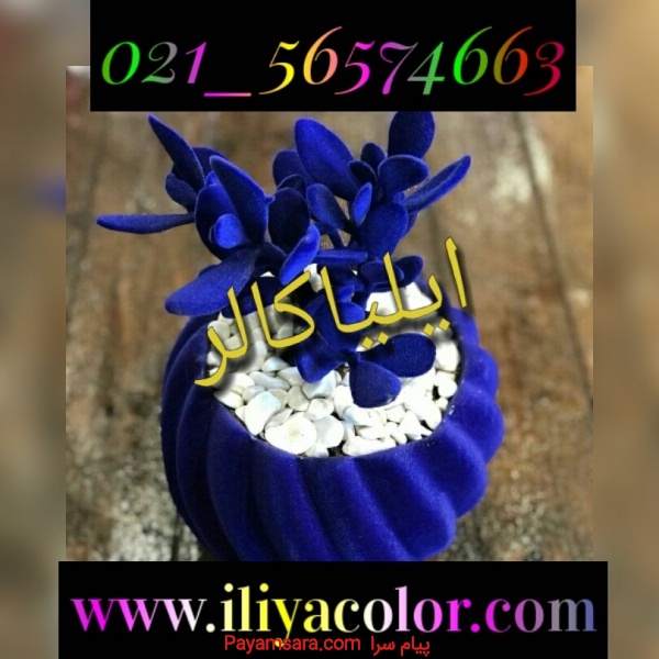 فروش عمده پودر مخمل ایرانی و ترک