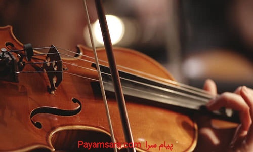 خریدار ویولن و فروش ویلن دست دوم