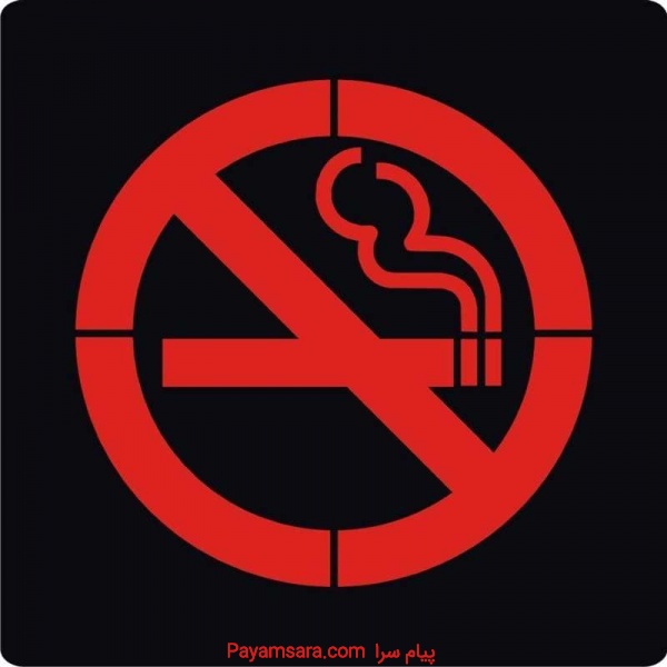سنگ نورانی مربع ضد آب طرح سیگار ممنوع EmaxمدلPL10N