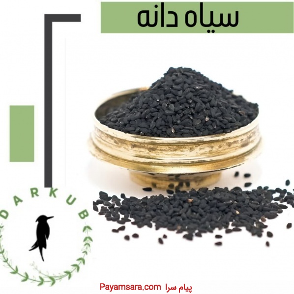 فروش عمده سیاهدانه و تخم خرفه با بهترین کیفیت