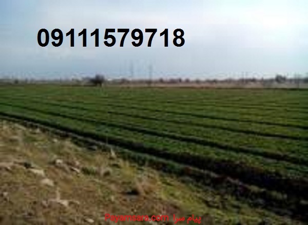 فروش کارخانه سنگین در مازندران