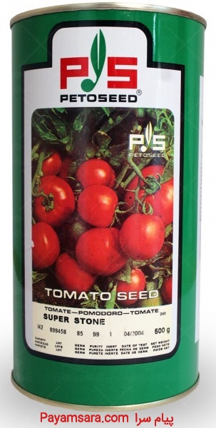 سفارش بذر گوجه پی اس سوپر استون، فروش و ارسال
