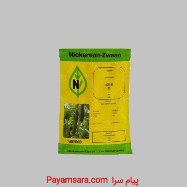 بذر خیار گلخانه ای نیکرسون 485 ، فروش عمده و خرده