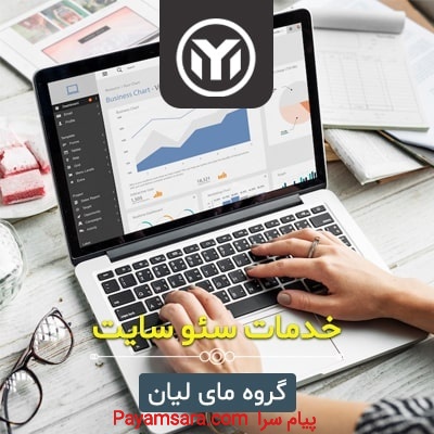 سئو سایت بصورت حرفه ای در بوشهر