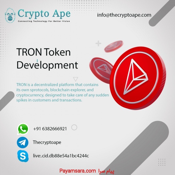 TRON Token Development