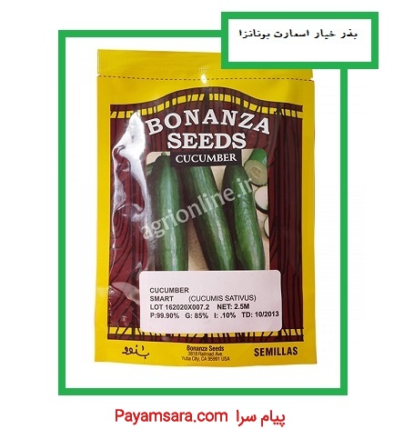 فروش بذر خیار SMART بونانزا آمریکا