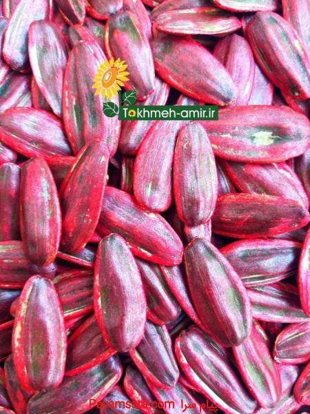 بذرهیبرید تخمه آفتابگردان
