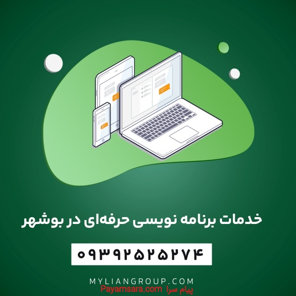 خدمات برنامه نویسی حرفه‌ای در بوشهر