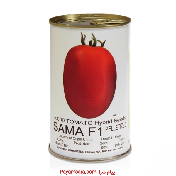 فروش بذر گوجه سما ، بذر گوجه SAMA اماسیدز