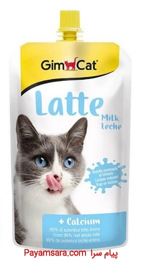 شیر لته گربه جیم کت