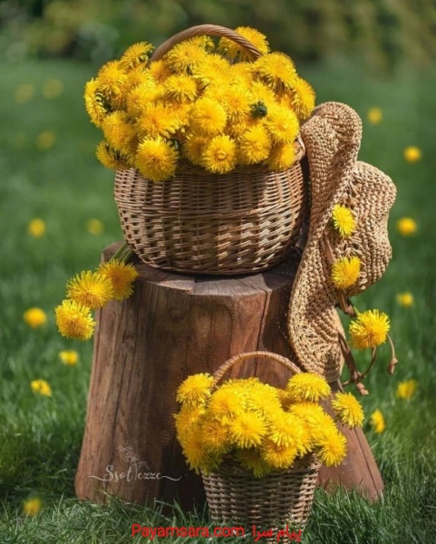 نیاز پرستار خانم برای دخترم زنجان