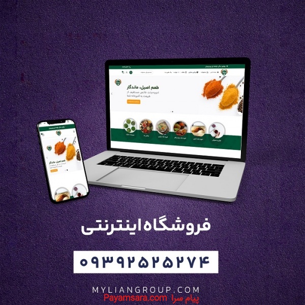 طراحی فروشگاه اینترنتی بصورت اقساط